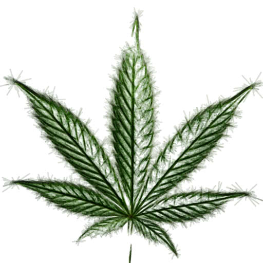 One weed leaf transformed using a felt-tip illustration effect