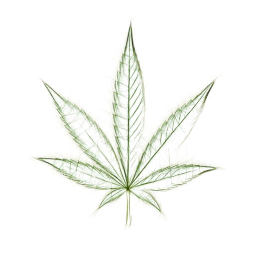 One weed leaf presented in a high-contrast sketch treatment