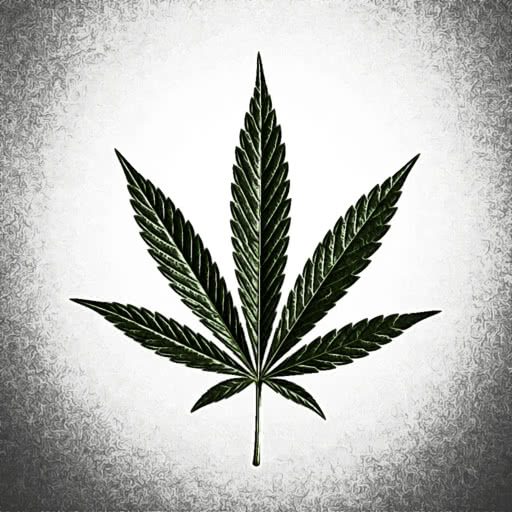 A marijuana leaf shown with a colored pencil style