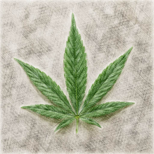Cannabis leaf rendered with a sketch drawing style