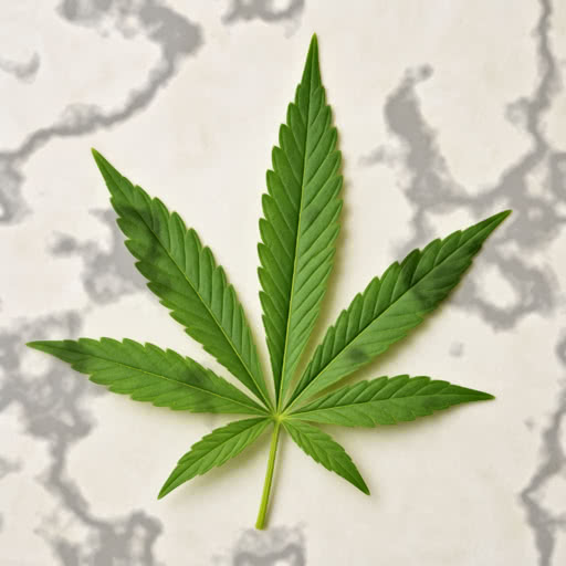 One marijuana leaf featuring a patchy shadow treatment