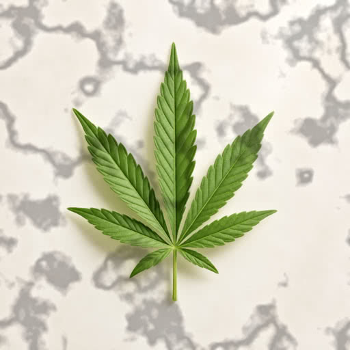 Marijuana leaf rendered with a textured shadow rendering