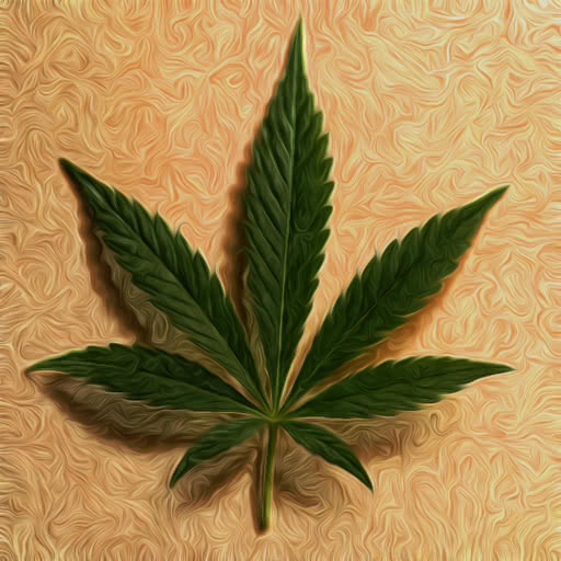 Cannabis leaf presented in a daubed paint treatment