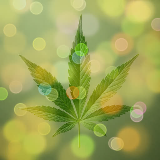 Cannabis leaf with a stylized bokeh rendering