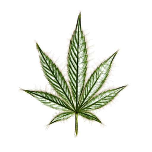 Weed leaf transformed using a felt pen drawing style