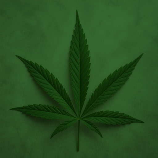 One cannabis leaf featuring a patterned Bayer rendering
