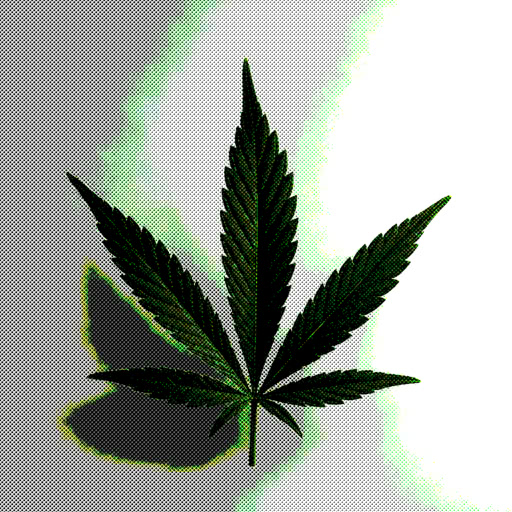 One cannabis leaf shown with a printed halftone treatment