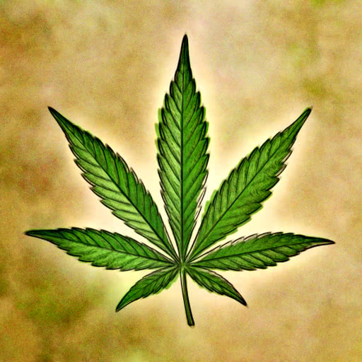 Weed leaf with a soft watercolor treatment