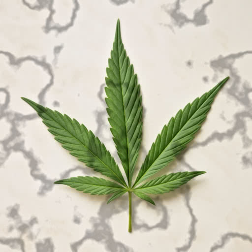 One cannabis leaf featuring a shadow patch effect