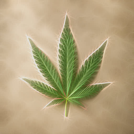 A leaf from a marijuana plant featuring a textured Rodilius effect