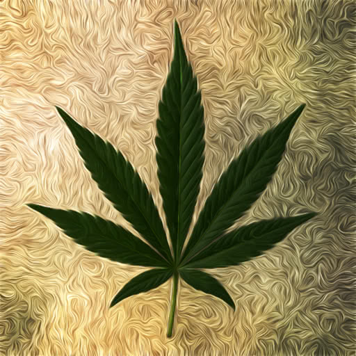 A weed leaf presented in a textured paint daub rendering