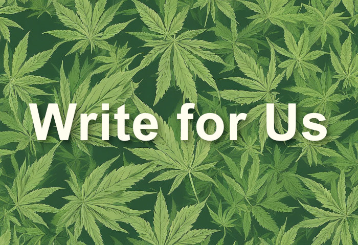 write for us text above cannabis leaves background