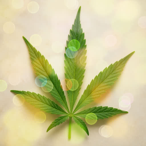 A cannabis leaf rendered with a stylized bokeh rendering