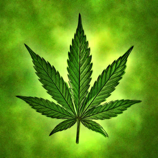 A leaf from a marijuana plant transformed using a soft watercolor treatment