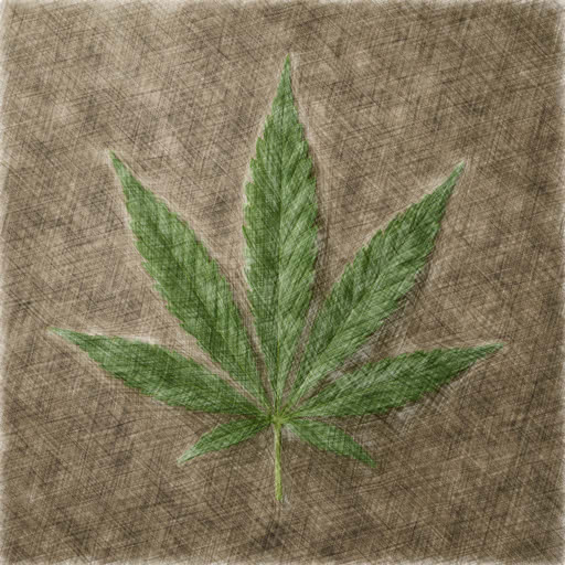 Cannabis leaf with a sketch drawing style