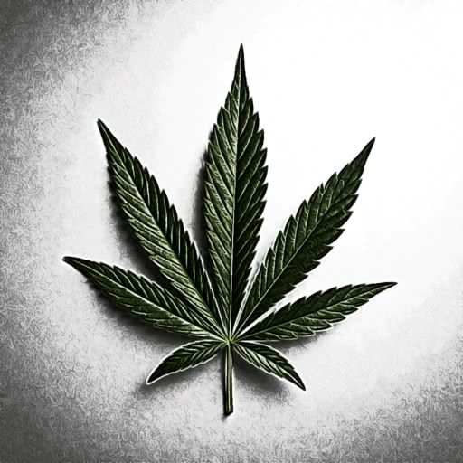 One marijuana leaf transformed using a hand-drawn colored pencil look