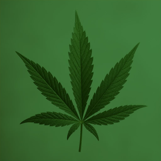 One weed leaf presented in a Bayer dithering treatment