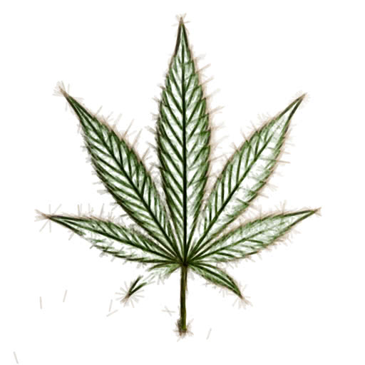 A cannabis leaf transformed using a felt pen drawing style