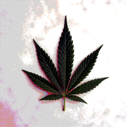 One marijuana leaf presented in a dot-based halftone style