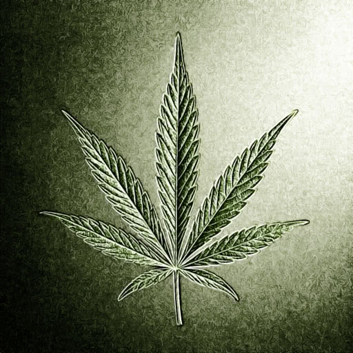 Marijuana leaf featuring a colored pencil style