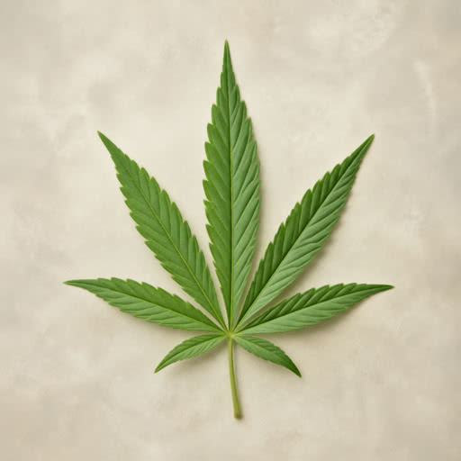 A leaf from a marijuana plant with a highlight bloom effect