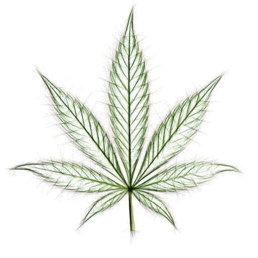 A marijuana leaf presented in a hard sketch style