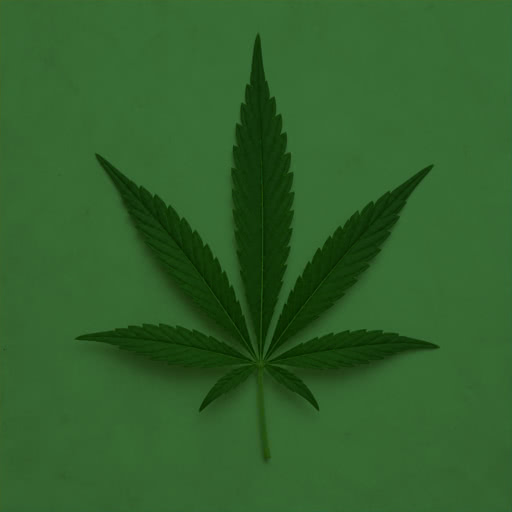 A marijuana leaf with a Bayer pattern effect