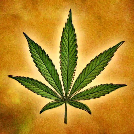 One cannabis leaf featuring a dreamy watercolor rendering
