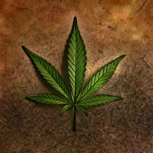 A leaf from a cannabis plant featuring a soft watercolor treatment