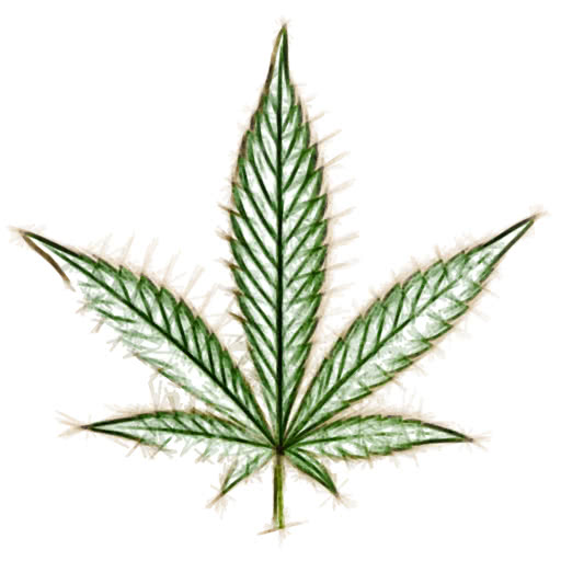 One weed leaf rendered with a hand-drawn felt pen look