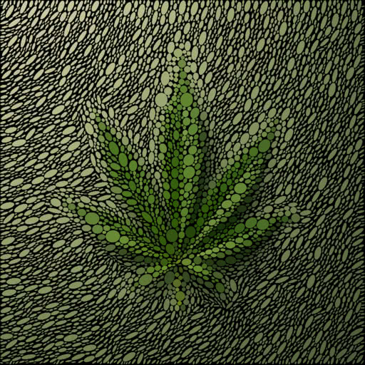 A weed leaf featuring a packed ellipse pattern