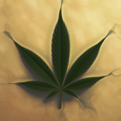 A weed leaf presented in a dreamy softened effect