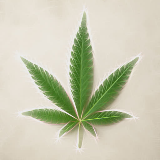 One marijuana leaf with a radiating Rodilius rendering
