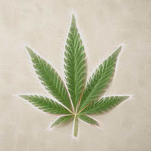 One marijuana leaf presented in a Rodilius artistic effect