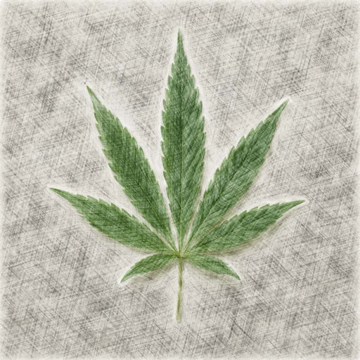One marijuana leaf rendered with a pencil-like sketch treatment