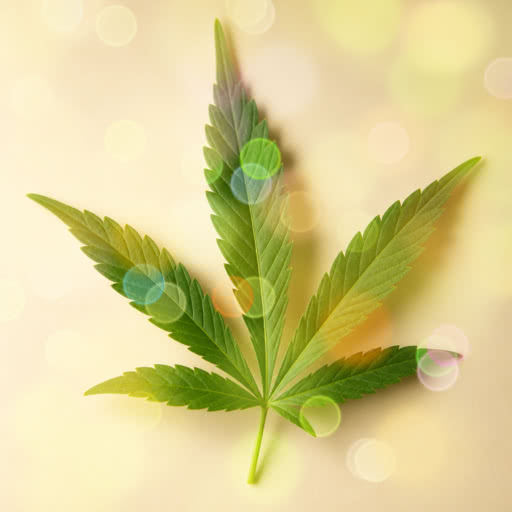 Weed leaf rendered with a blurred light bokeh effect