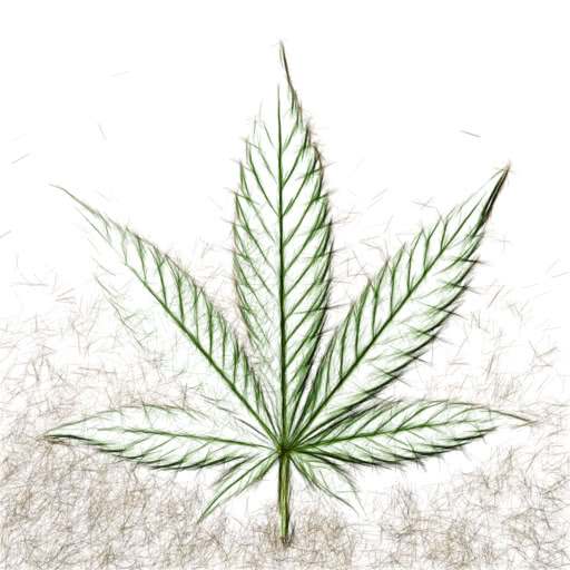 A cannabis leaf presented in a hard sketch style