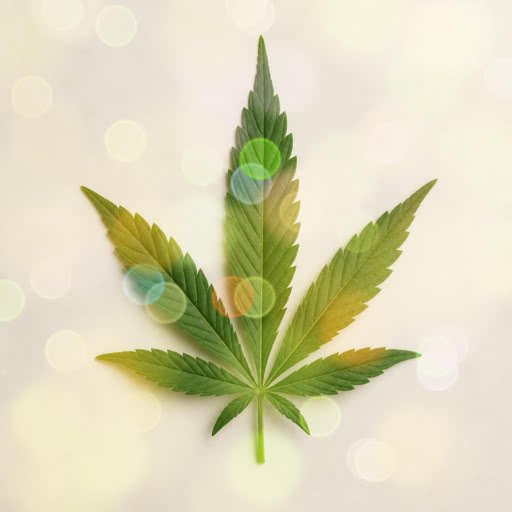 A marijuana leaf rendered with a bokeh-inspired effect