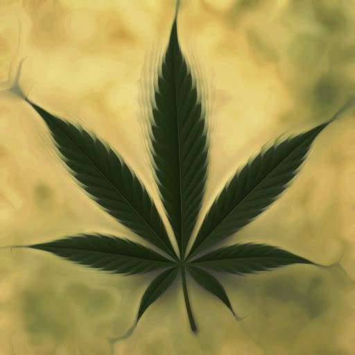 A cannabis leaf with a dreamy softened effect