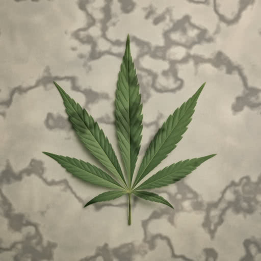 A leaf from a cannabis plant shown with a patchy shadow treatment