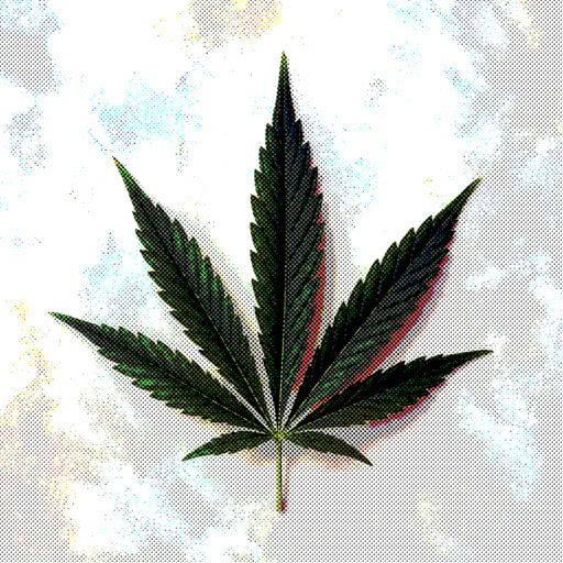 A cannabis leaf featuring a graphic halftone rendering
