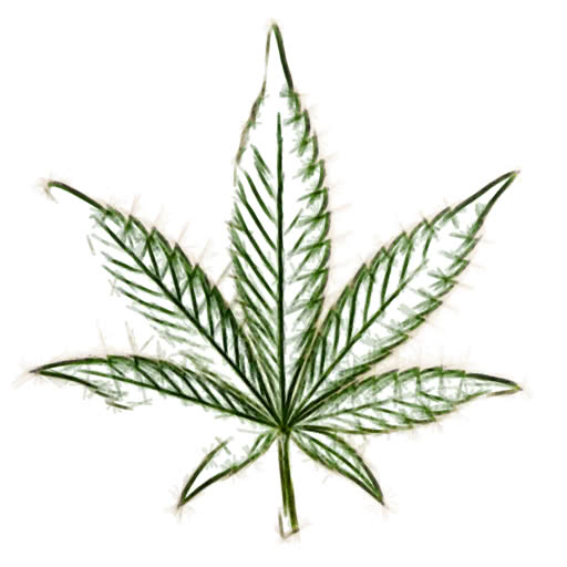Cannabis leaf transformed using a felt-tip illustration effect