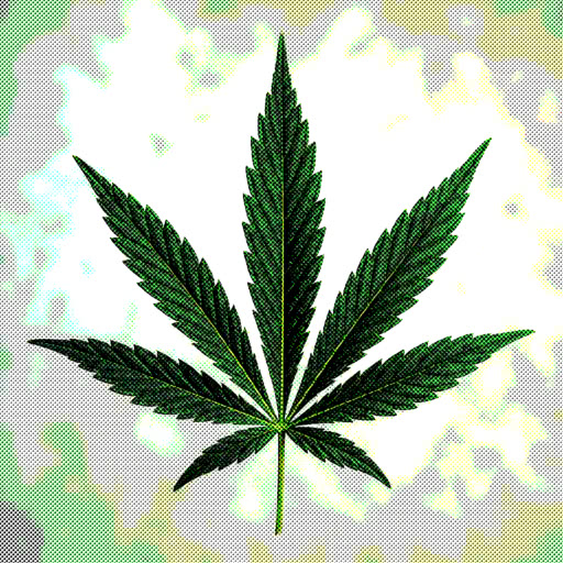 Cannabis leaf featuring a printed halftone treatment