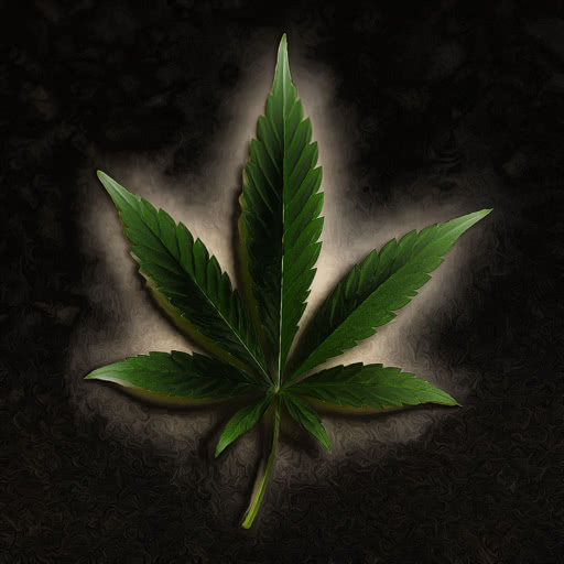 One weed leaf shown with a distressed Angoisse-inspired rendering