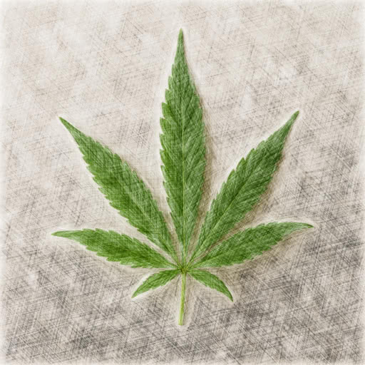 Weed leaf with a sketch drawing style