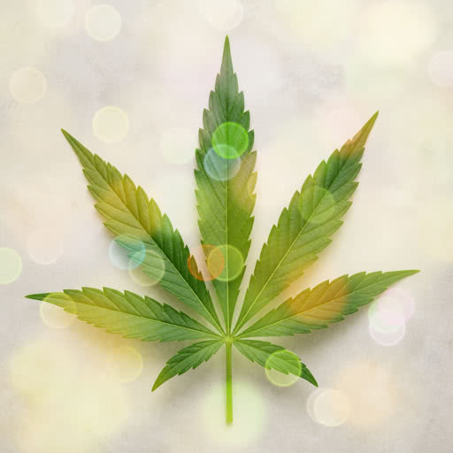 One marijuana leaf transformed using a blurred light bokeh effect