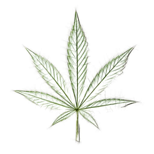 Marijuana leaf presented in a hard sketch style