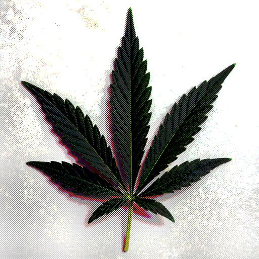 One cannabis leaf with a graphic halftone rendering