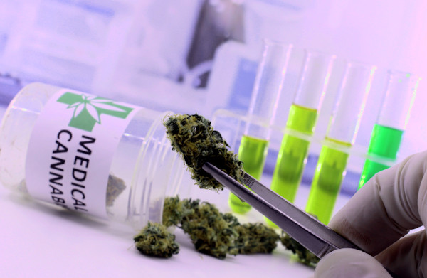 endotext cannabinoid research medical marijuana